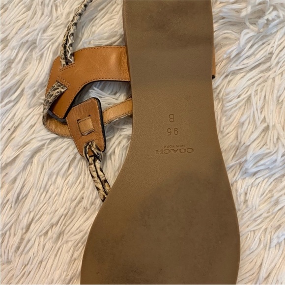 Coach Tan and Brown Snakeskin T-Strap Sandals with Gold Hardware - Picture 8 of 8